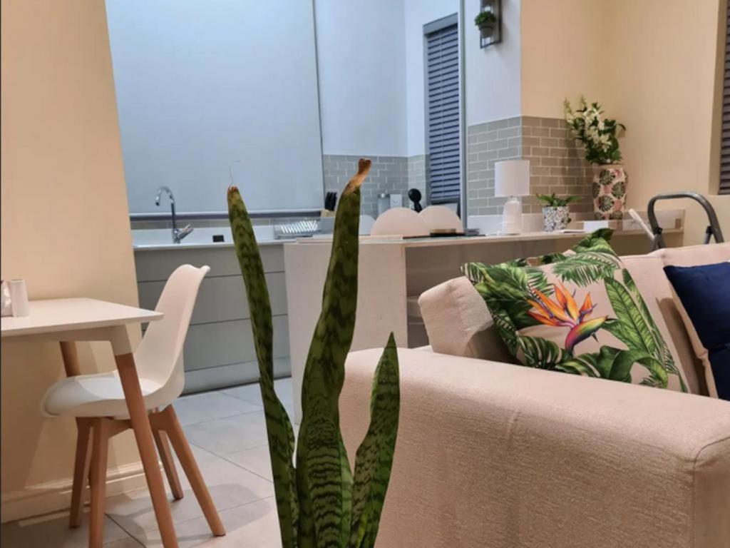 The Little Big Green House Hotel Muizenberg Room photo
