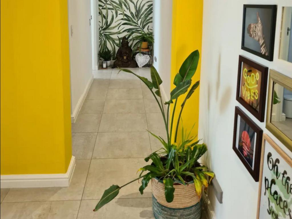 The Little Big Green House Hotel Muizenberg Room photo